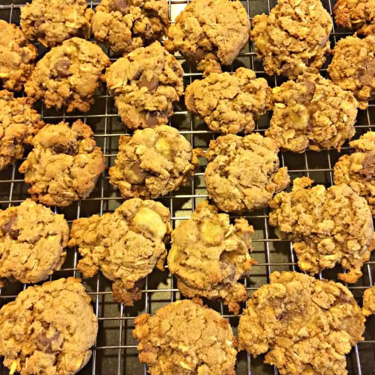 Gluten Free Oatmeal Banana Chocolate Chip Cookies