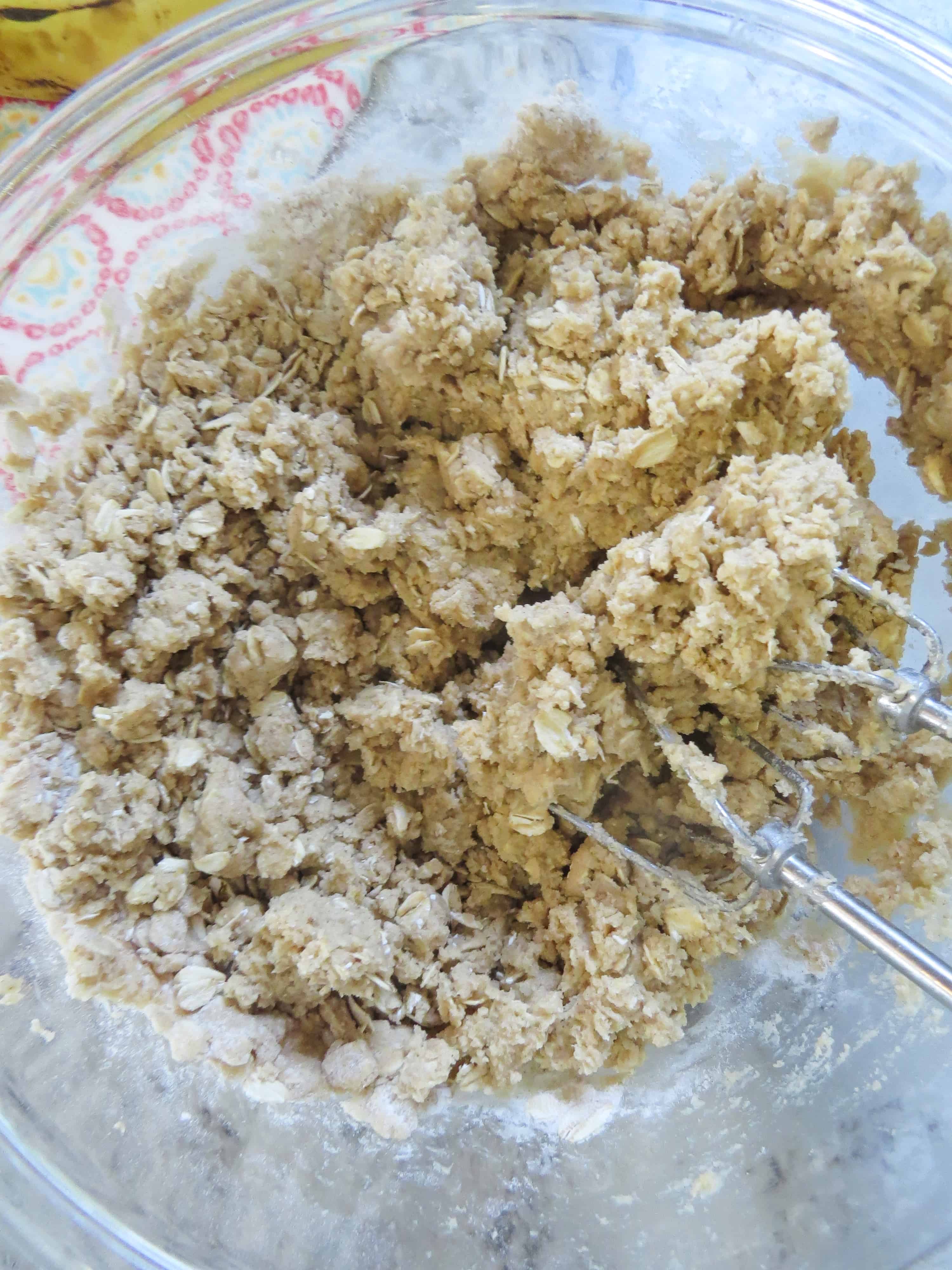 Oatmeal Banana Chocolate Chip Cookie Batter