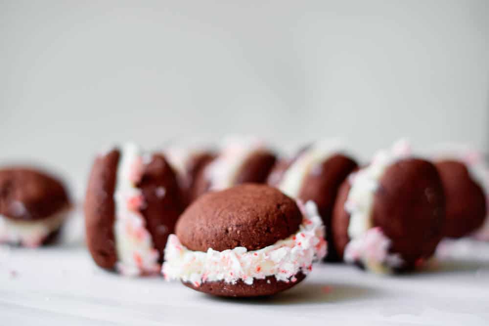 Chocolate Candy Cane Cookies