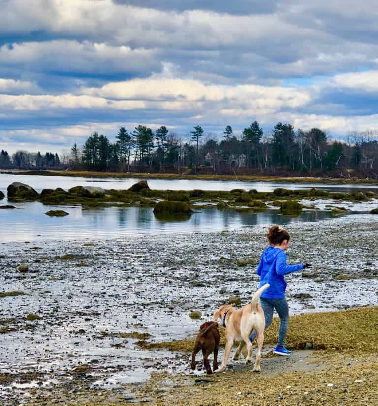 Five Tips for a Healthy Family Home