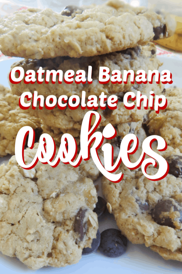 Oatmeal Banana Chocolate Chip Cookies