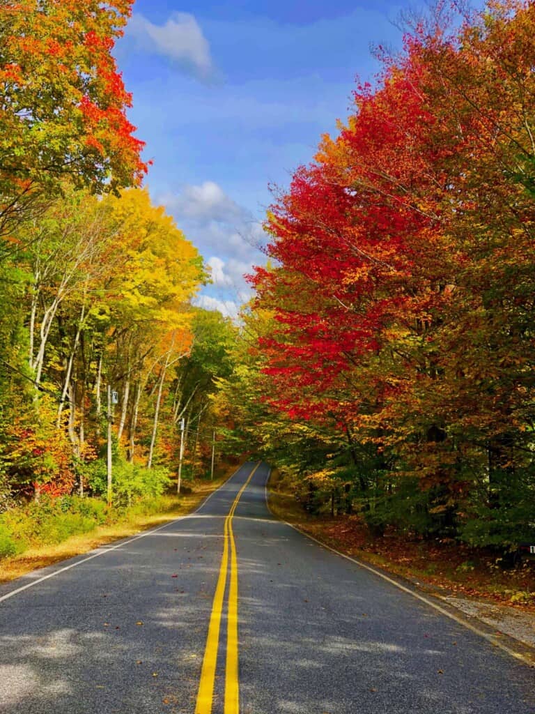 Five Reasons to Love Fall Cycling in Maine