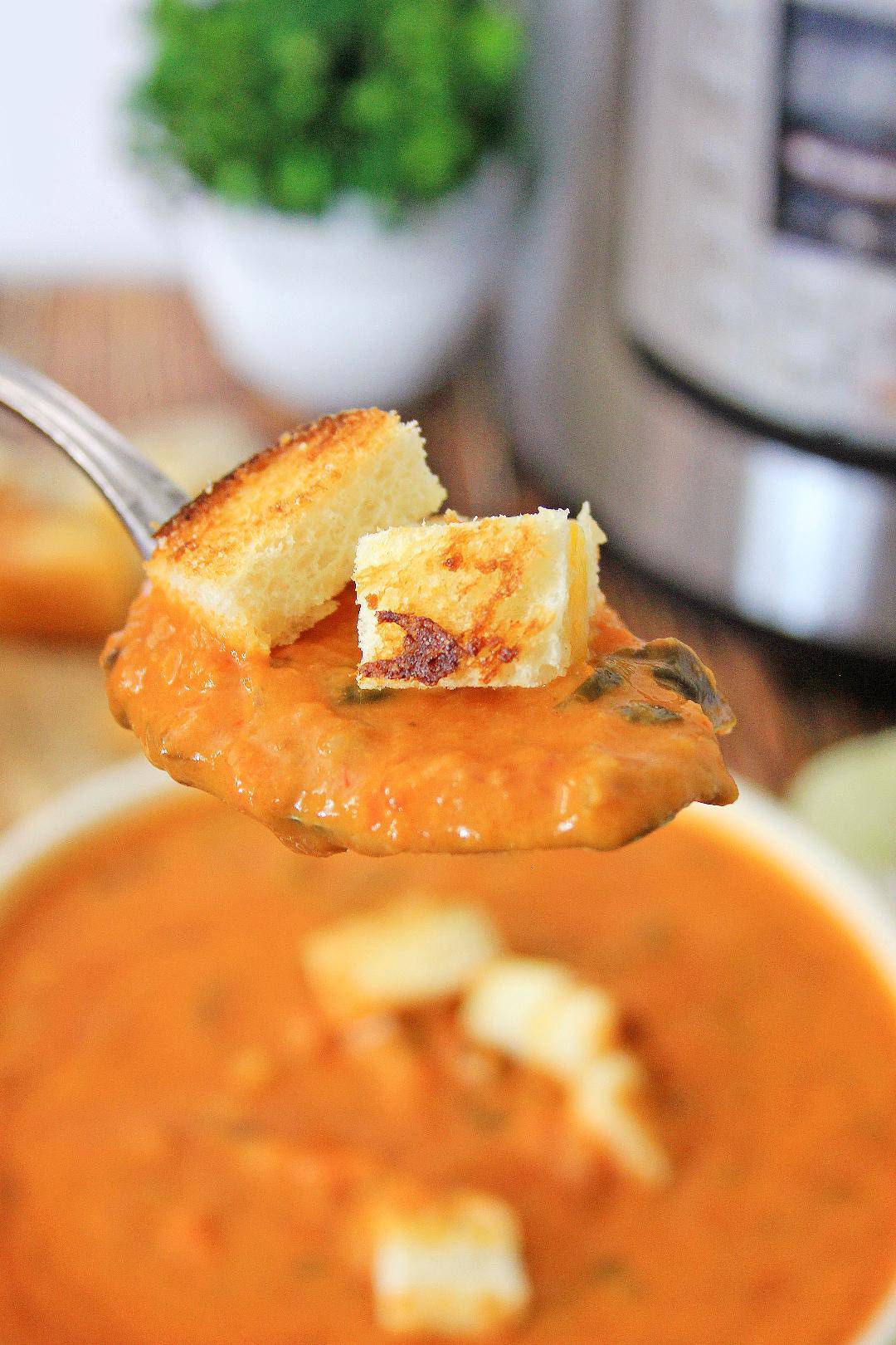 Close up of tomato soup.