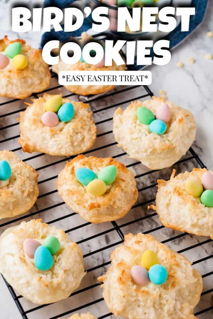 Birds nest Cookies pin