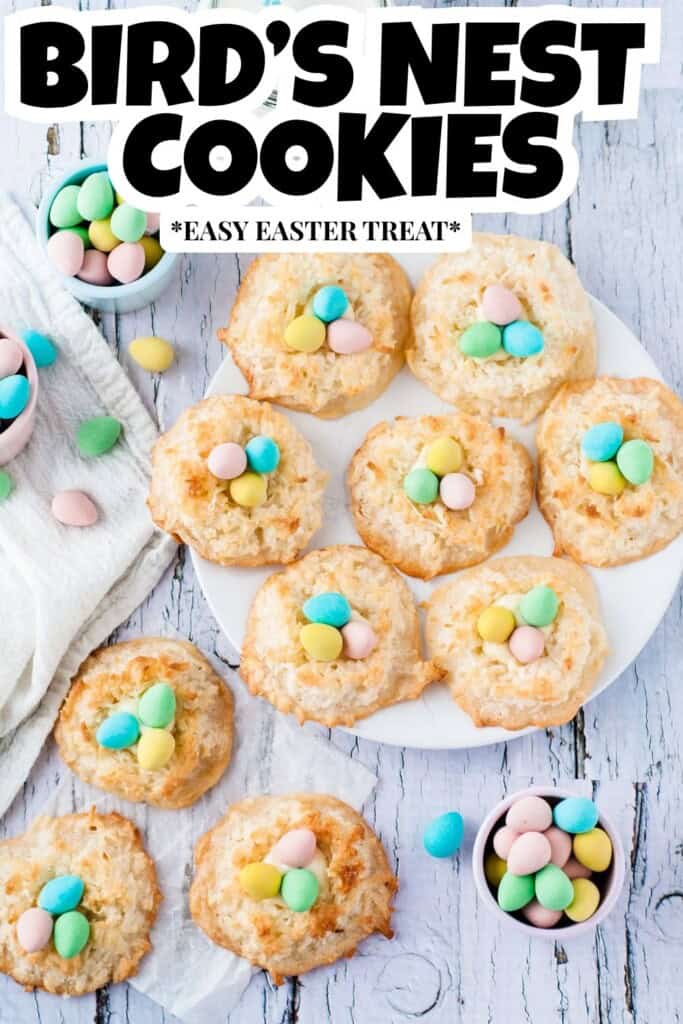 Birds nest Cookies pin