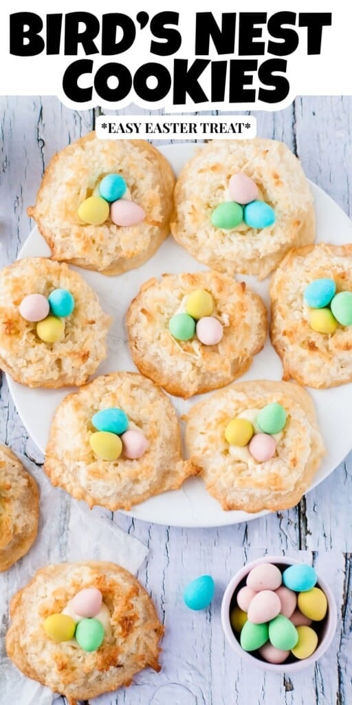 Birds nest Cookies pin