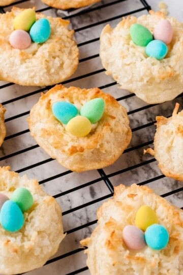 BIRDS nest cookies featured image