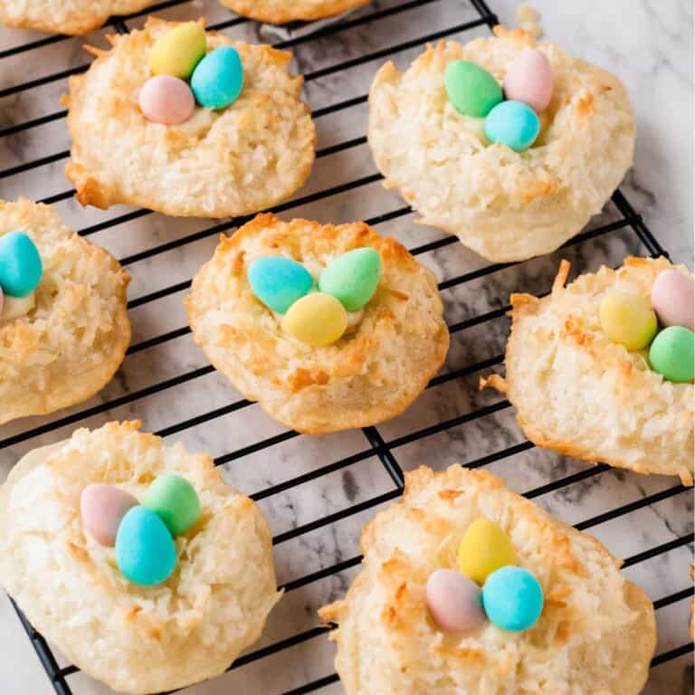 BIRDS nest cookies featured image