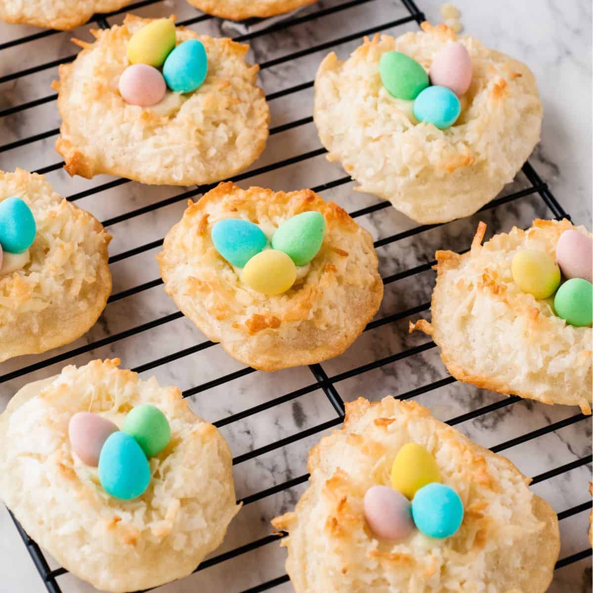 BIRDS nest cookies featured image
