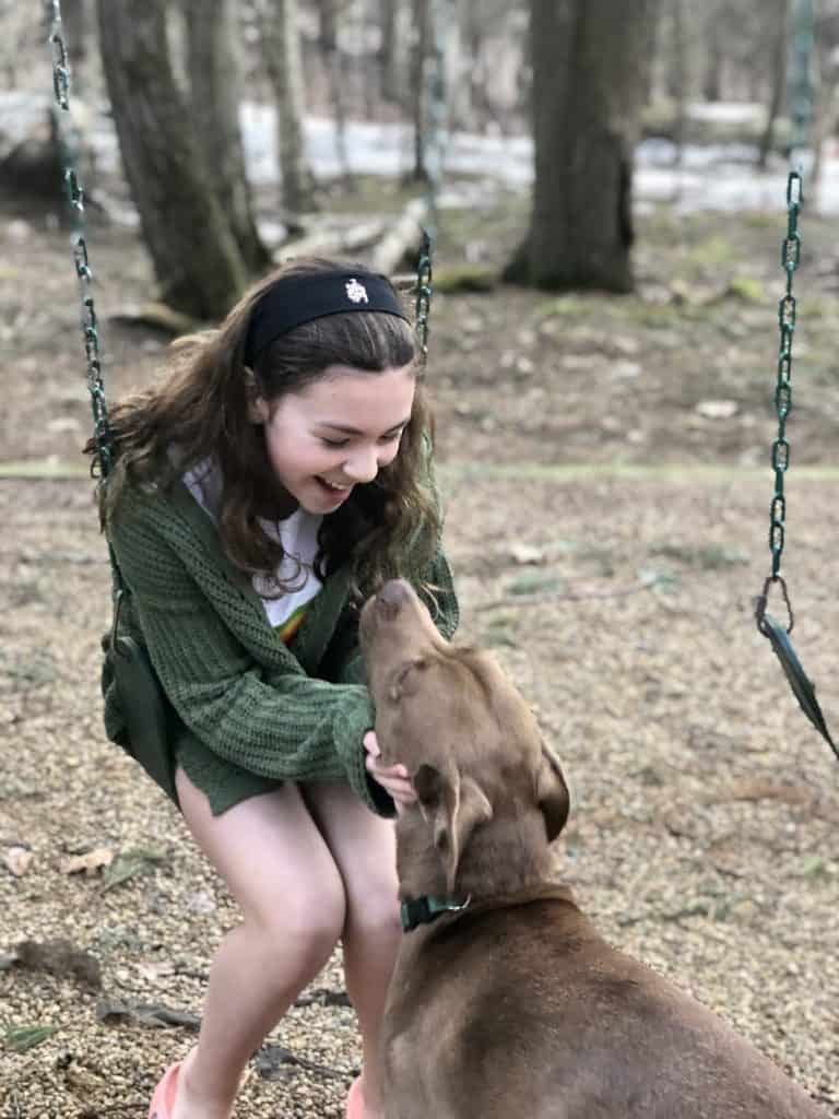 Beautiful young girl on swing with her brown dog.