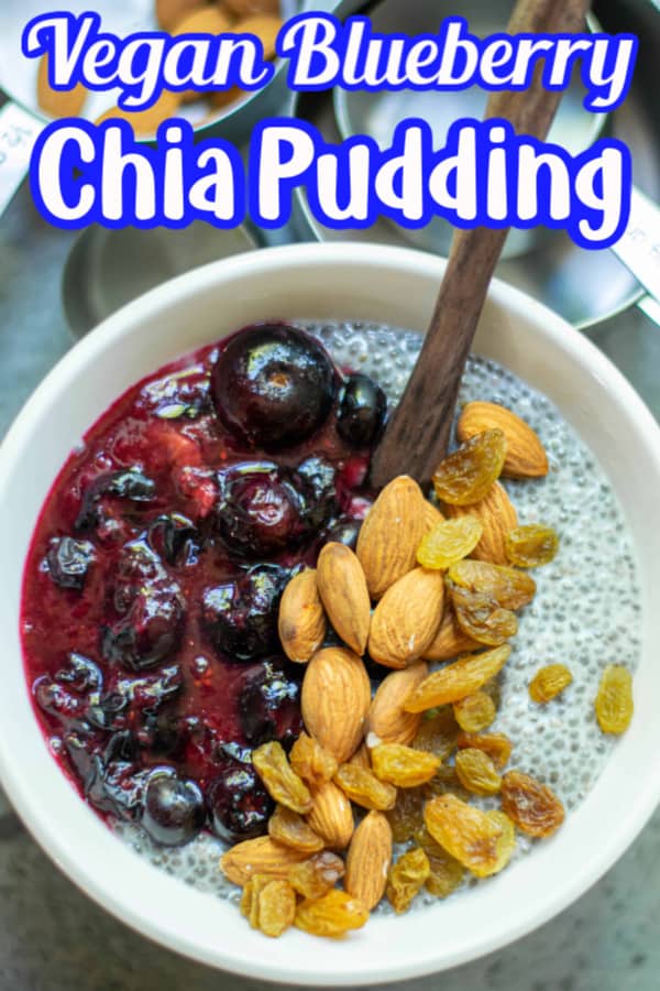 Vegan Blueberry Chia Pudding Pin