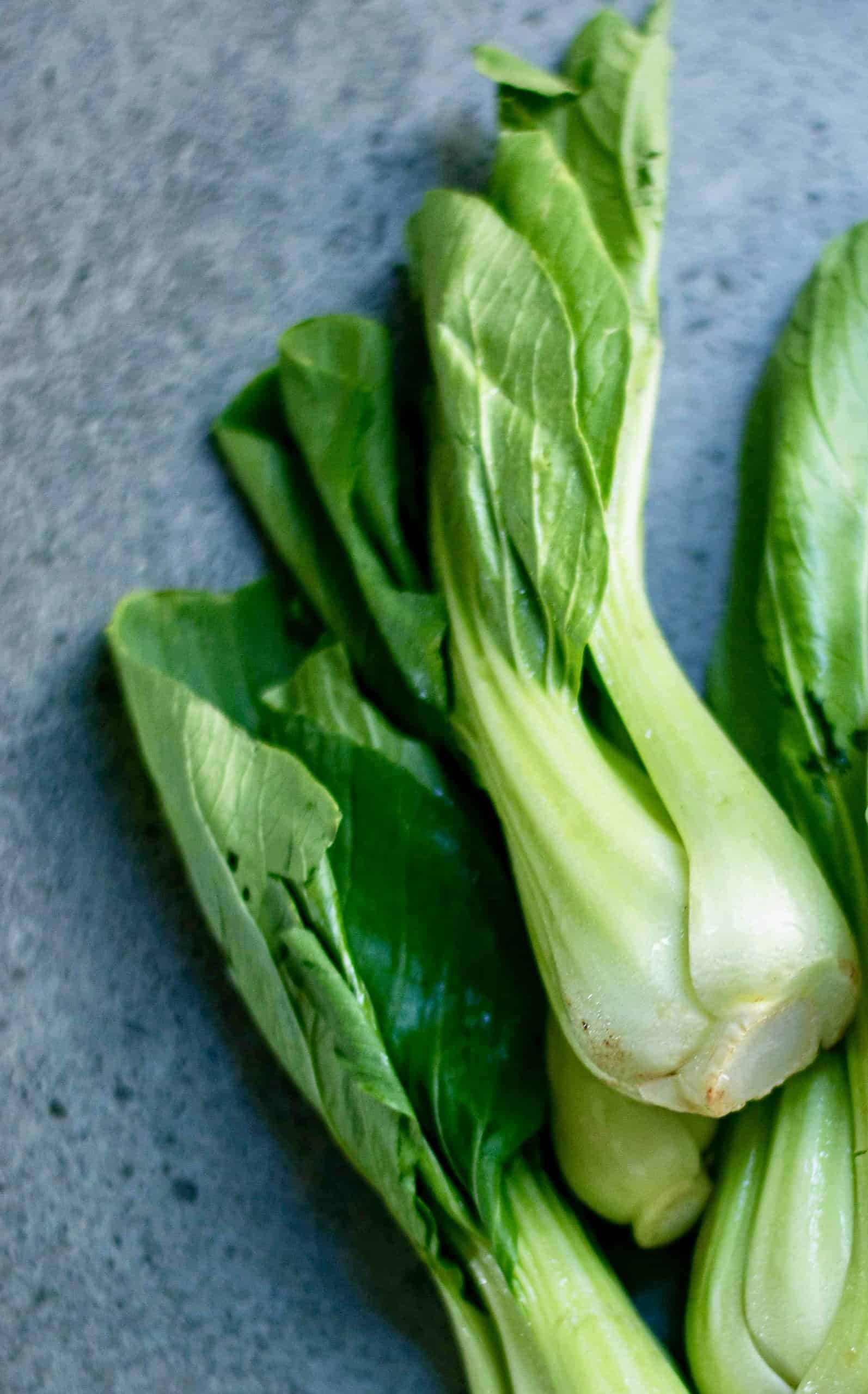 Overhead view of Bok Choy