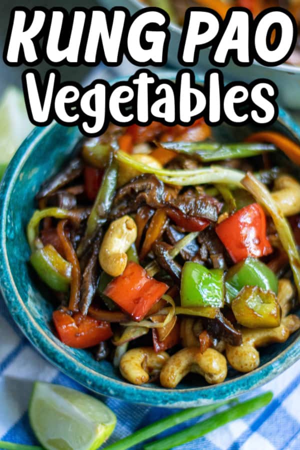 Kung Pao Vegetables Pin