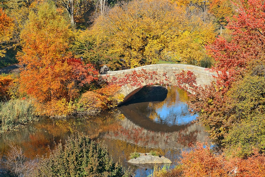 Manhattan Central Park with bridge and skyscraper in Autumn in New York City