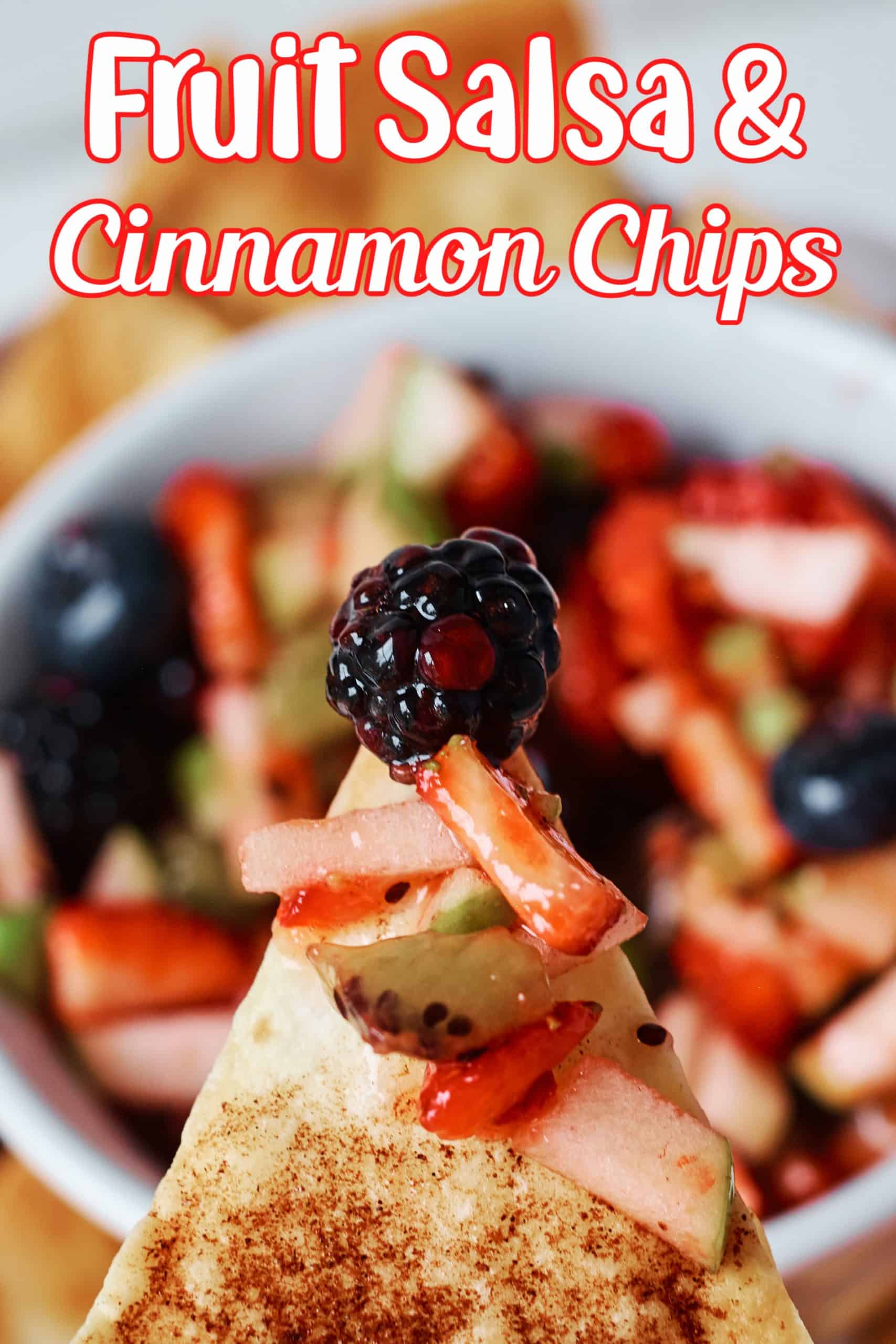 Fruit Salsa and Cinnamon Chips Pin
