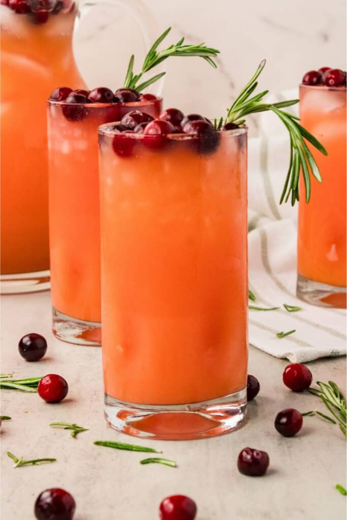 Holiday Madras cocktail garnished with fresh cranberries and rosemary for Christmas