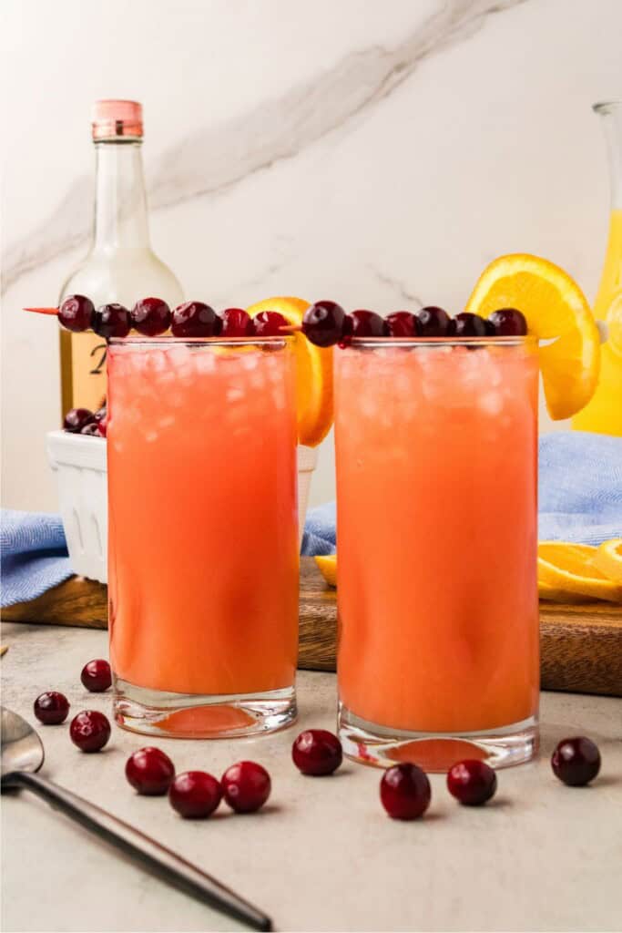 Madras cocktails garnished with fresh cranberry skewers for entertaining