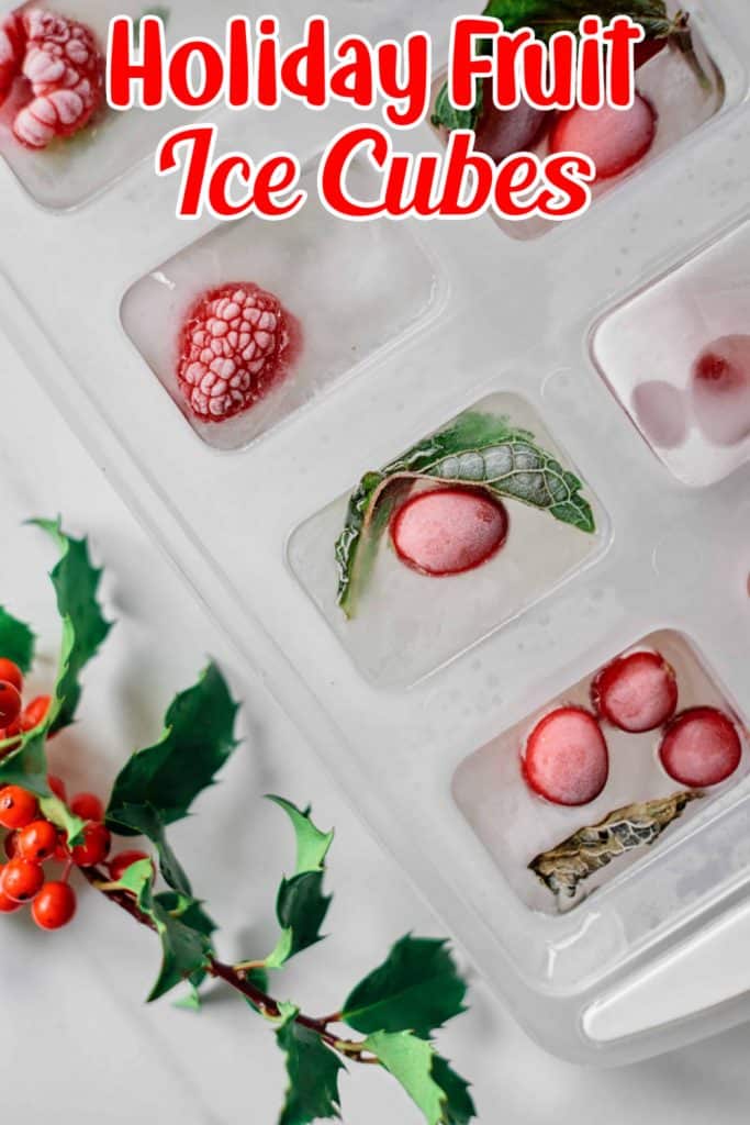 Holiday Fruit Ice Cubes Pin