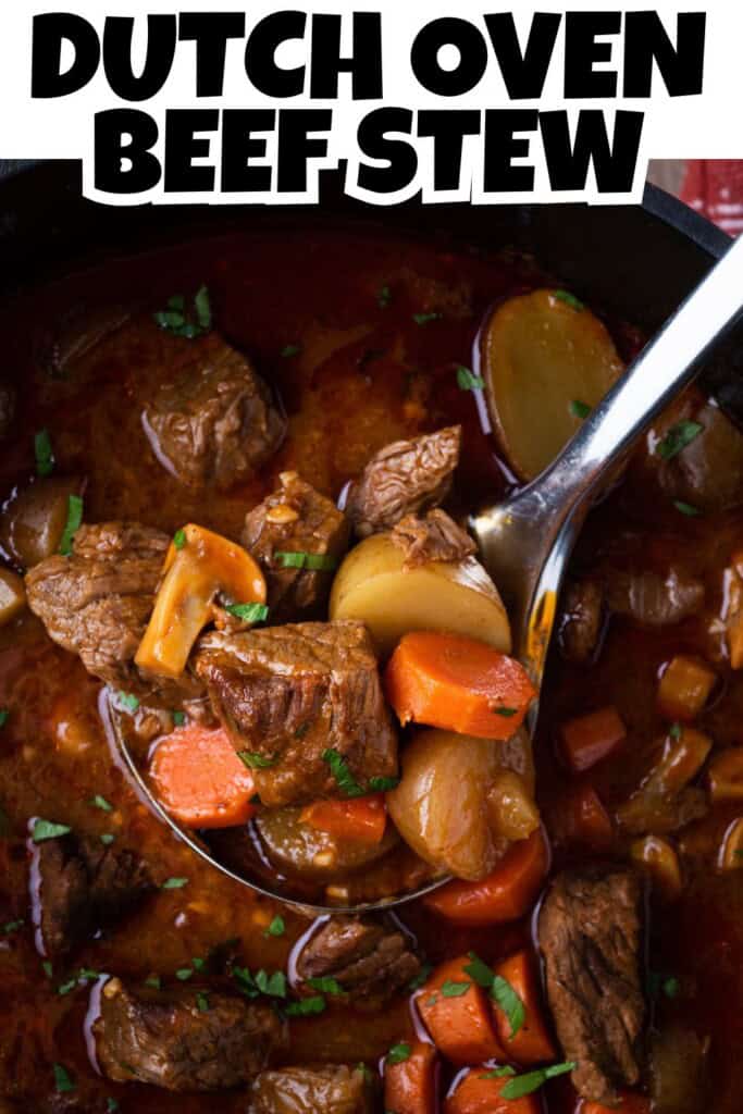 Dutch Oven Beef Stew Pin.