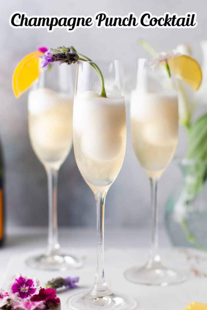 Champagne Punch Cocktail Pin for Pinterest