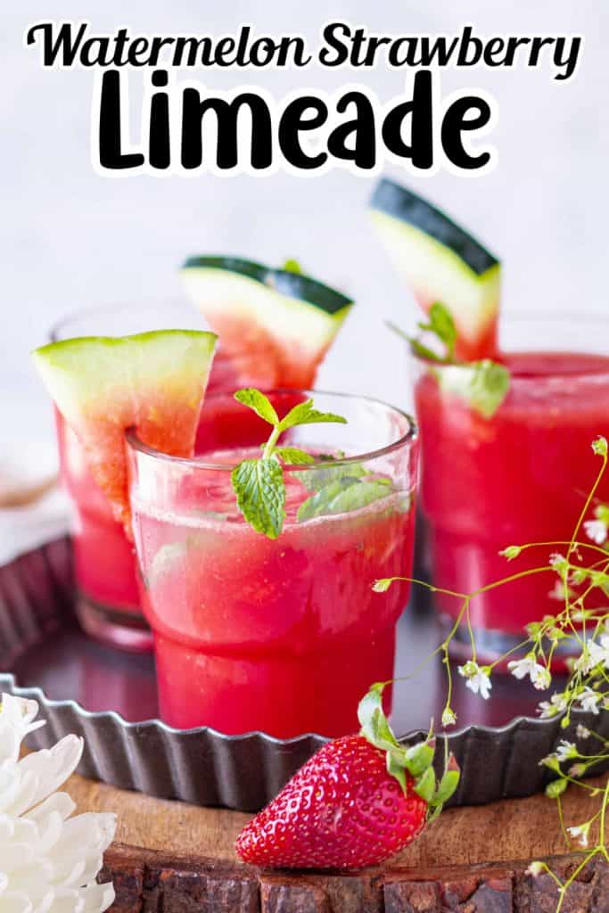 Watermelon Strawberry Limeade Pin