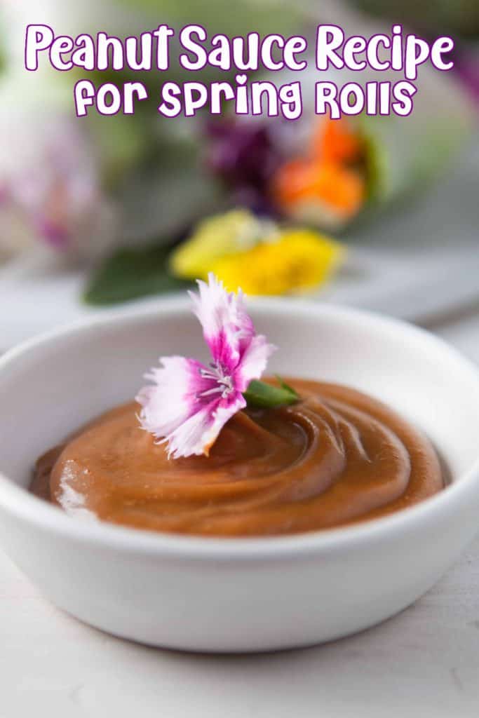 Peanut Sauce Recipe for Spring Rolls Pin