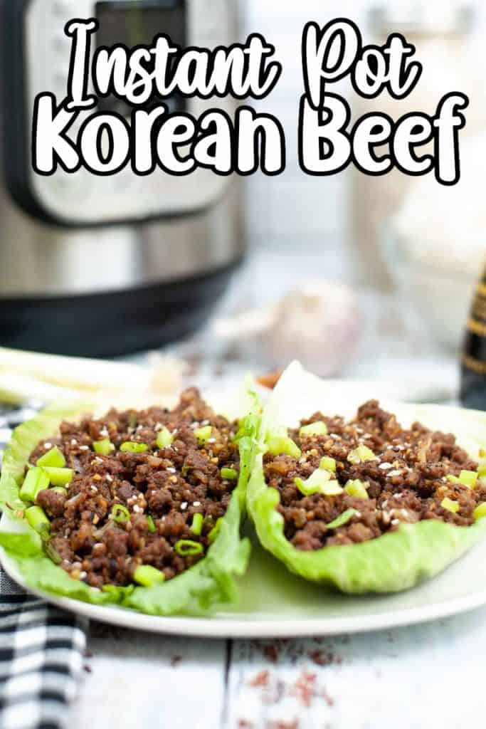 Instant Pot Korean Beef Pin