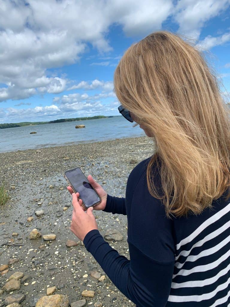 Beautiful blonde lady looking at cell phone app while standing on the beach.