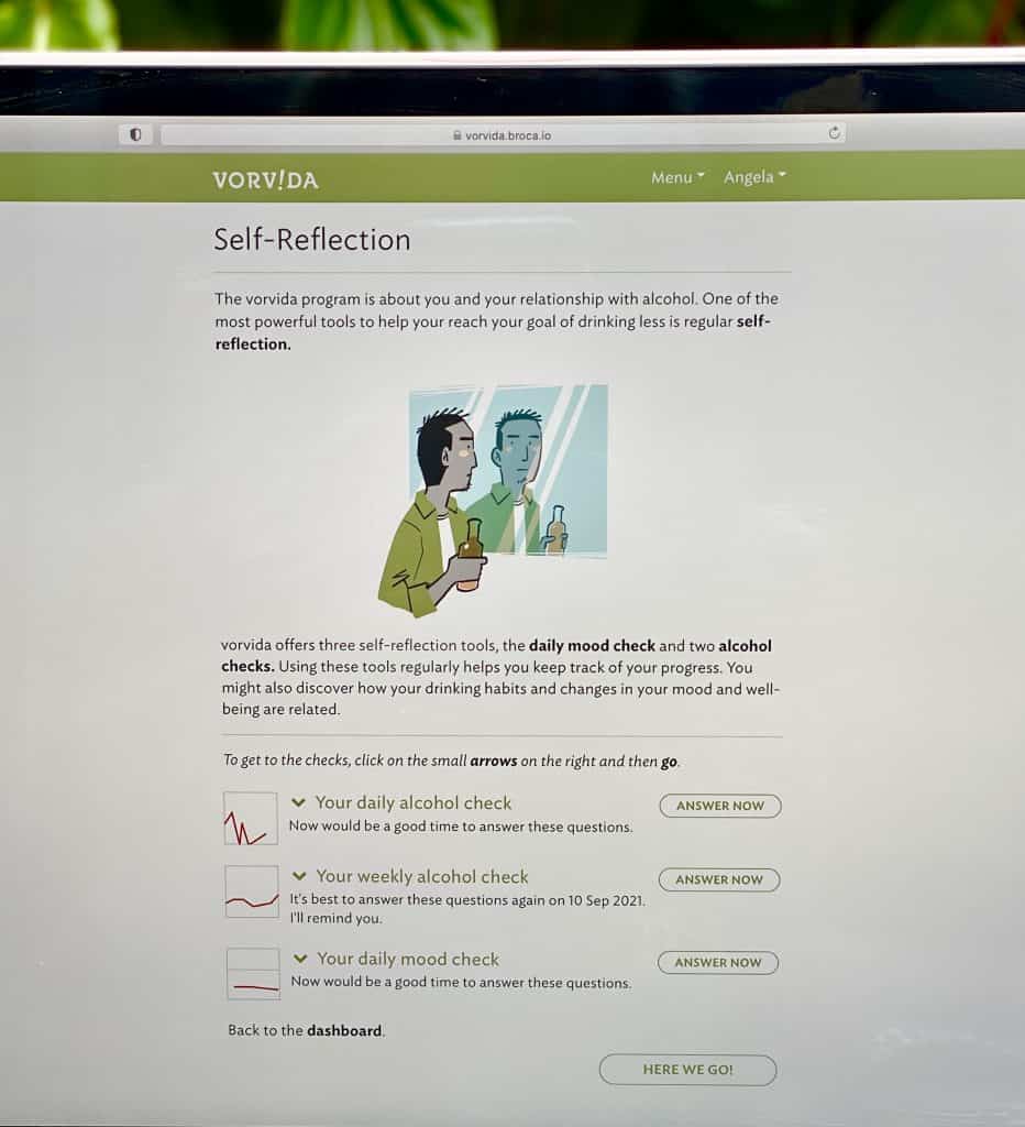 closeup of laptop screen with vorvida program.