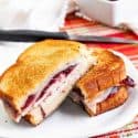 Toasted turkey sandwich with cheese and cranberry.