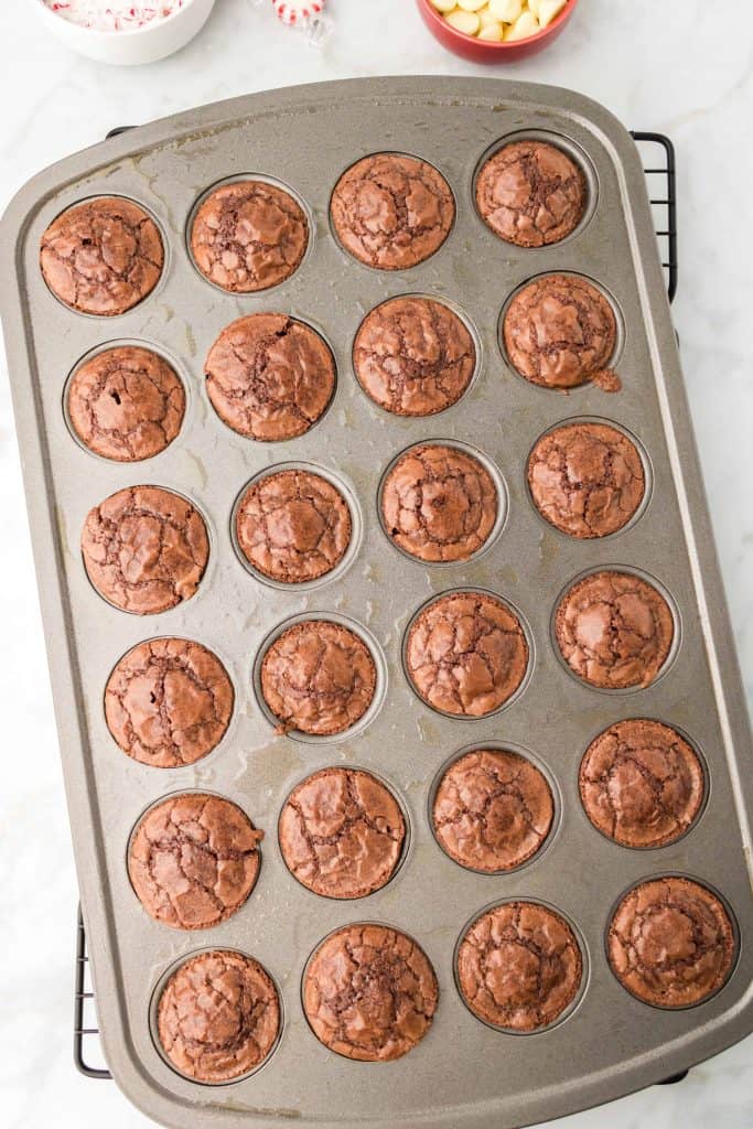 Baked brownie bites in a mini muffin pan.