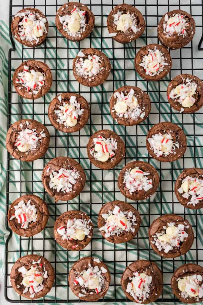 Brownie Bites with White Chocolate and Crushed Peppermint .