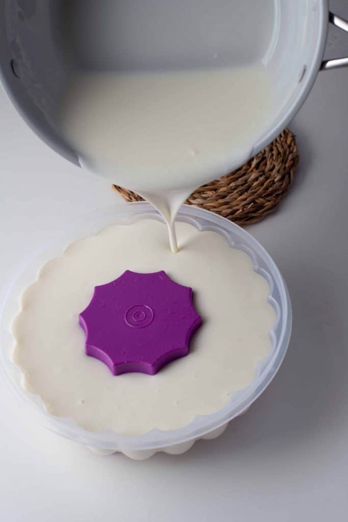 Jello mold with yogurt.