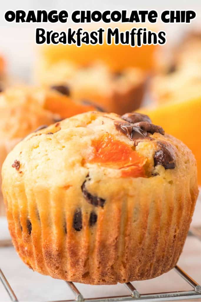 Orange chocolate chip breakfast muffin pin