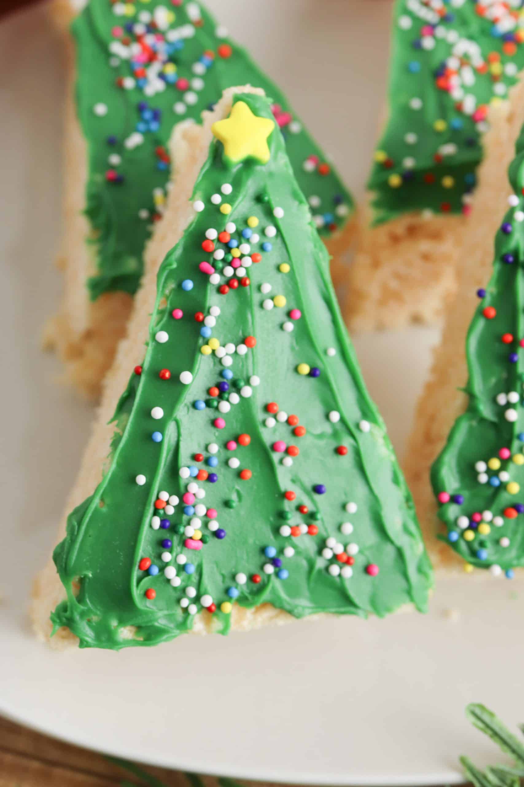 Close-up of Christmas snack.