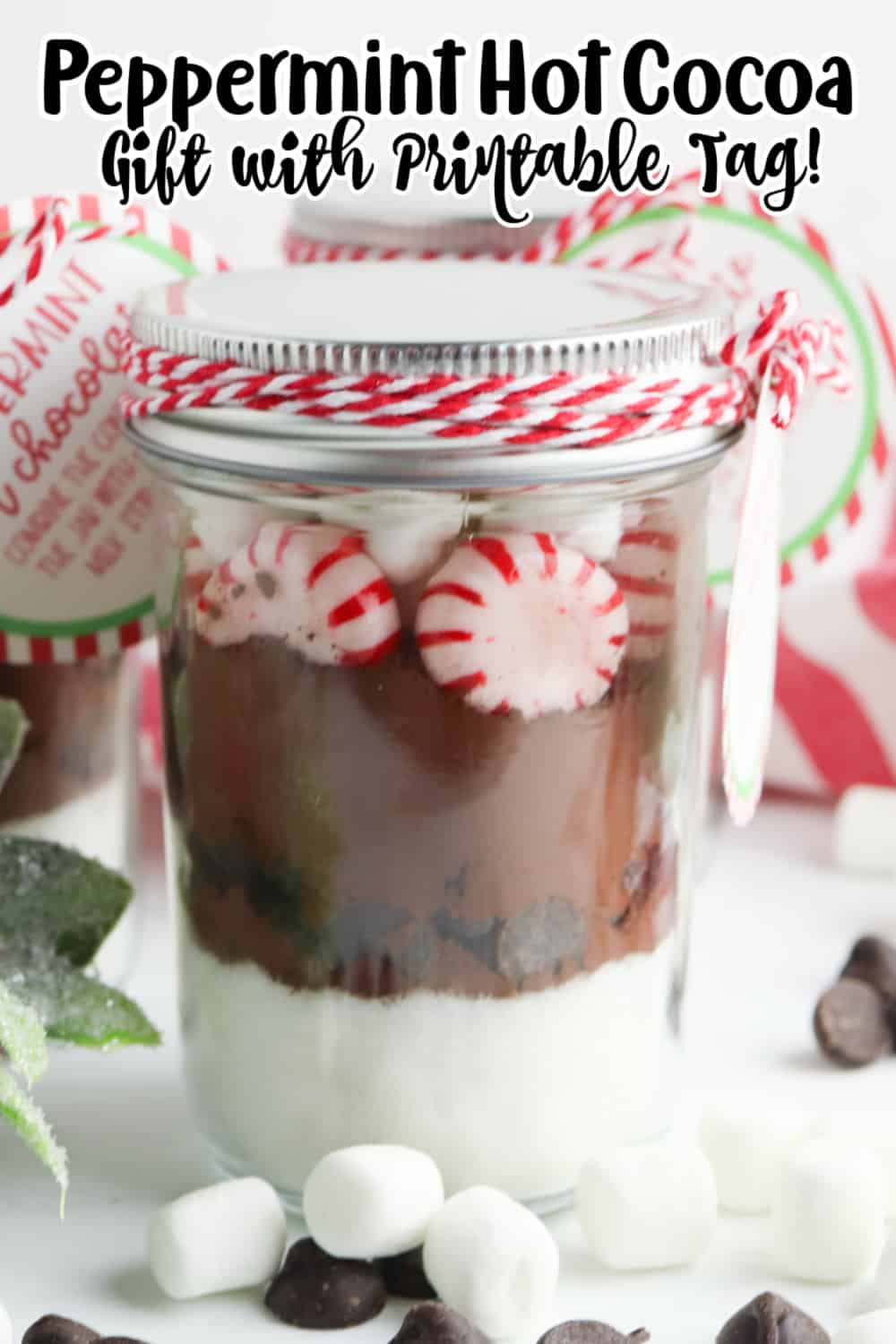 Peppermint Hot Cocoa Mix Gift with Tag.