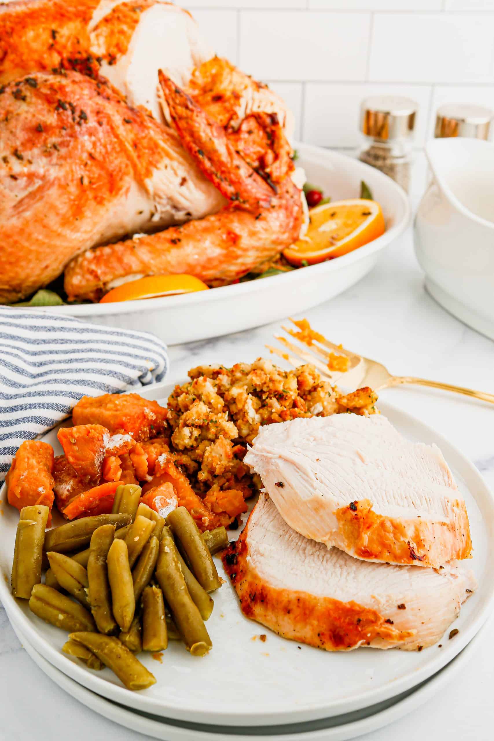 Turkey dinner on a plate.