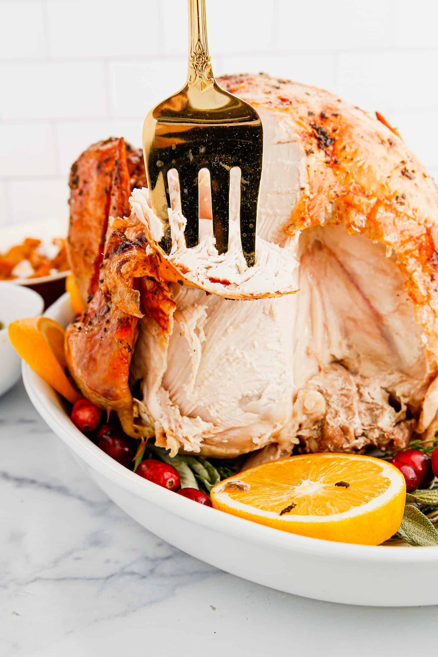 Turkey with fork shredding meat off of it.