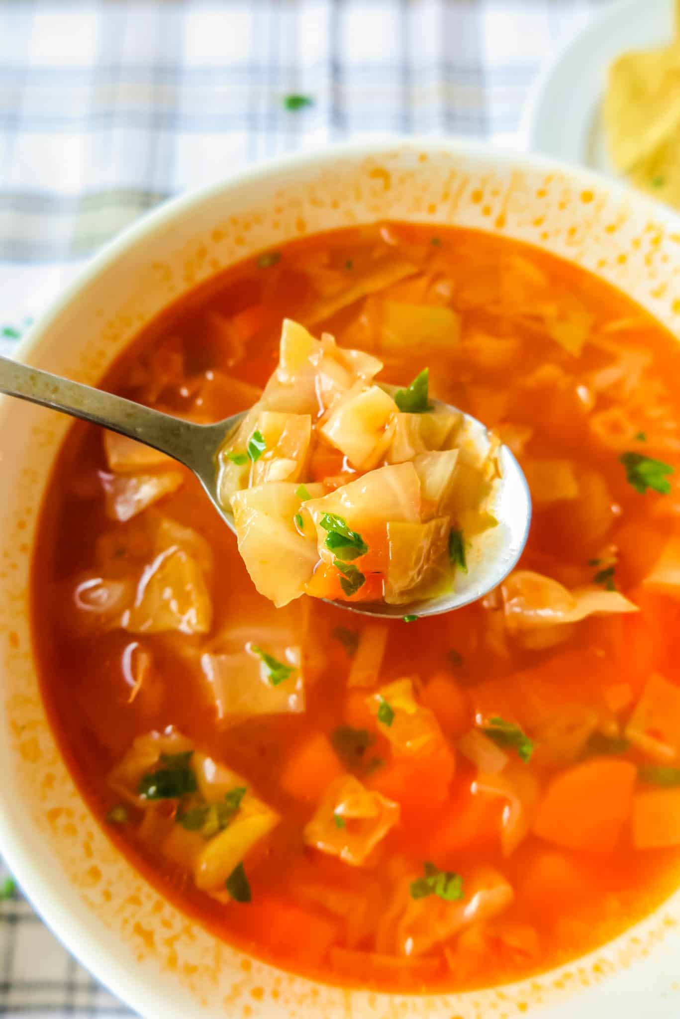 Spoon of cabbage soup.