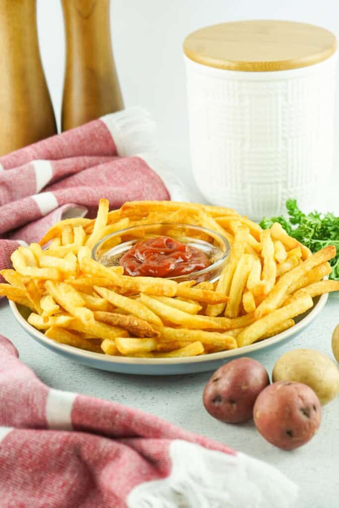 french fries air fryer