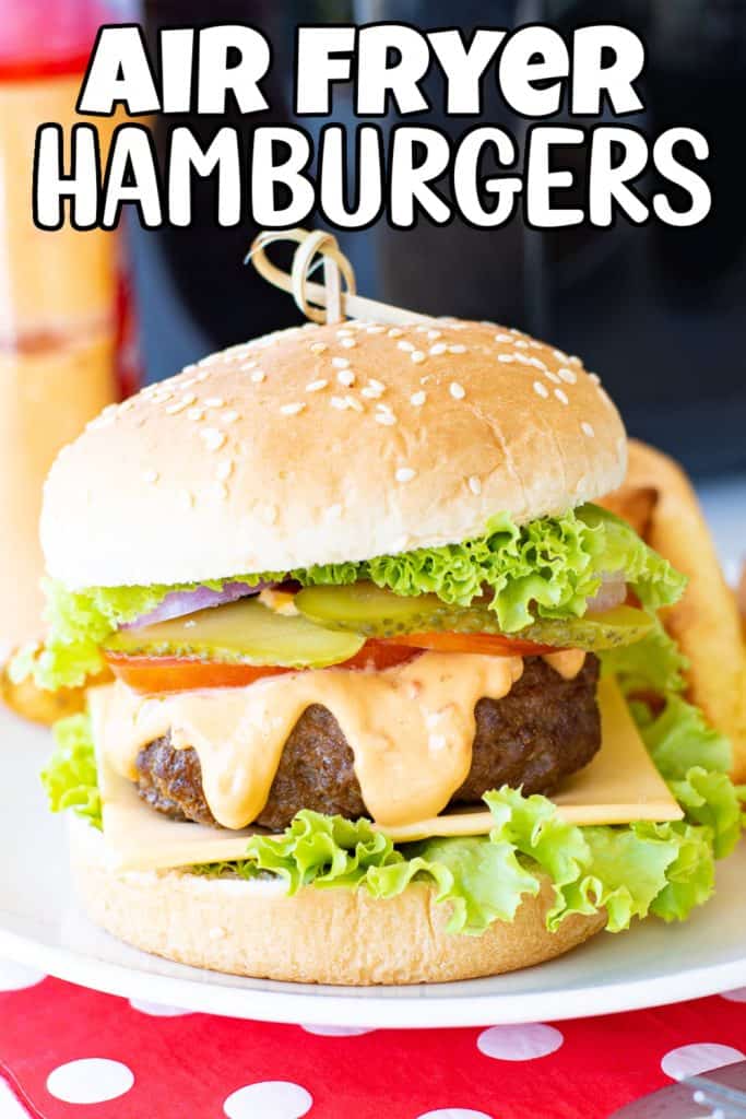 Air Fryer Hamburgers Pin.
