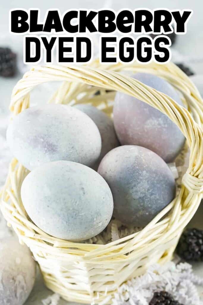 Blackberry Dyed Eggs Pin.