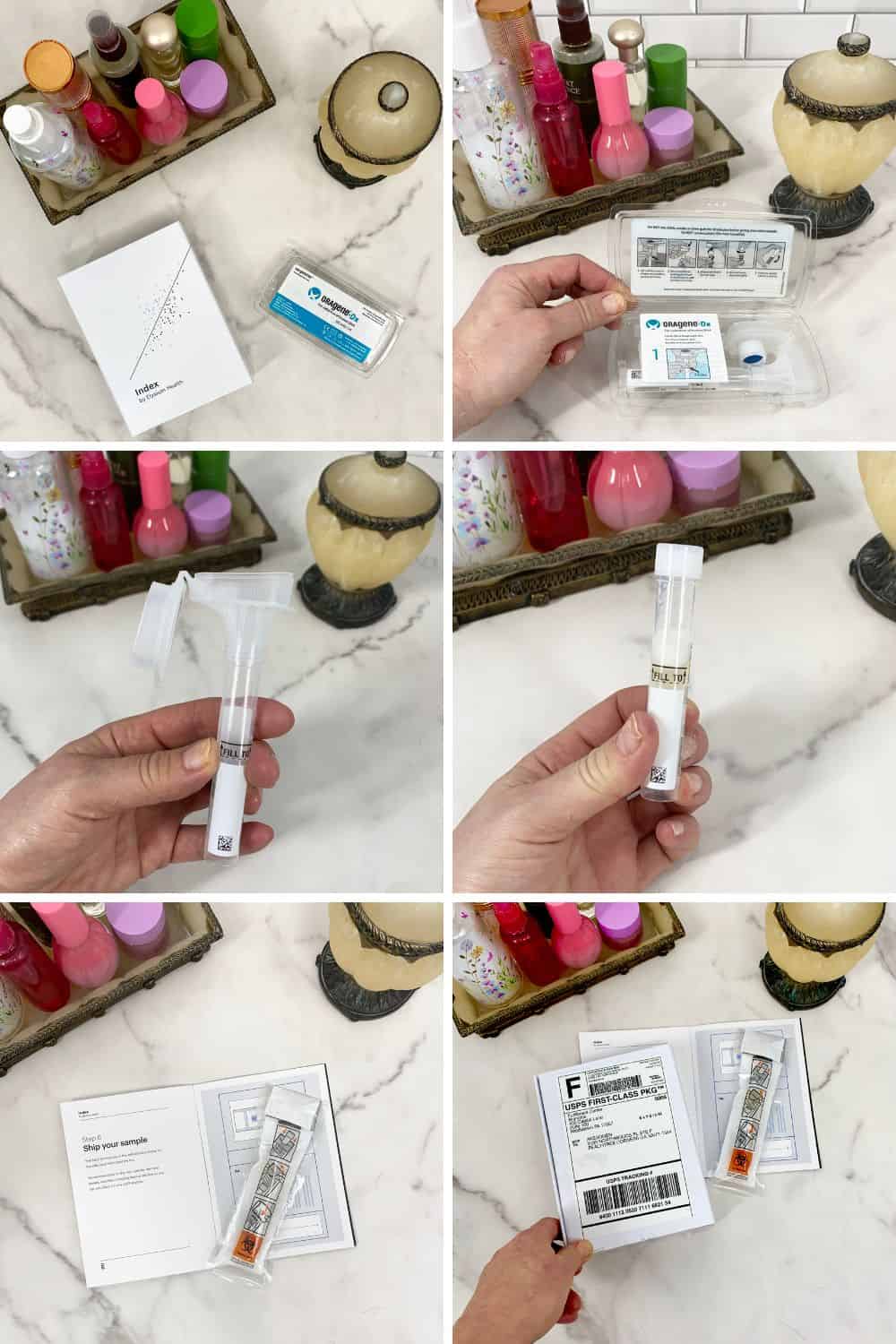 Steps for Elysium Biological Age Test.