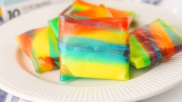 Fruit Roll-ups Ice Cream on a white plate.