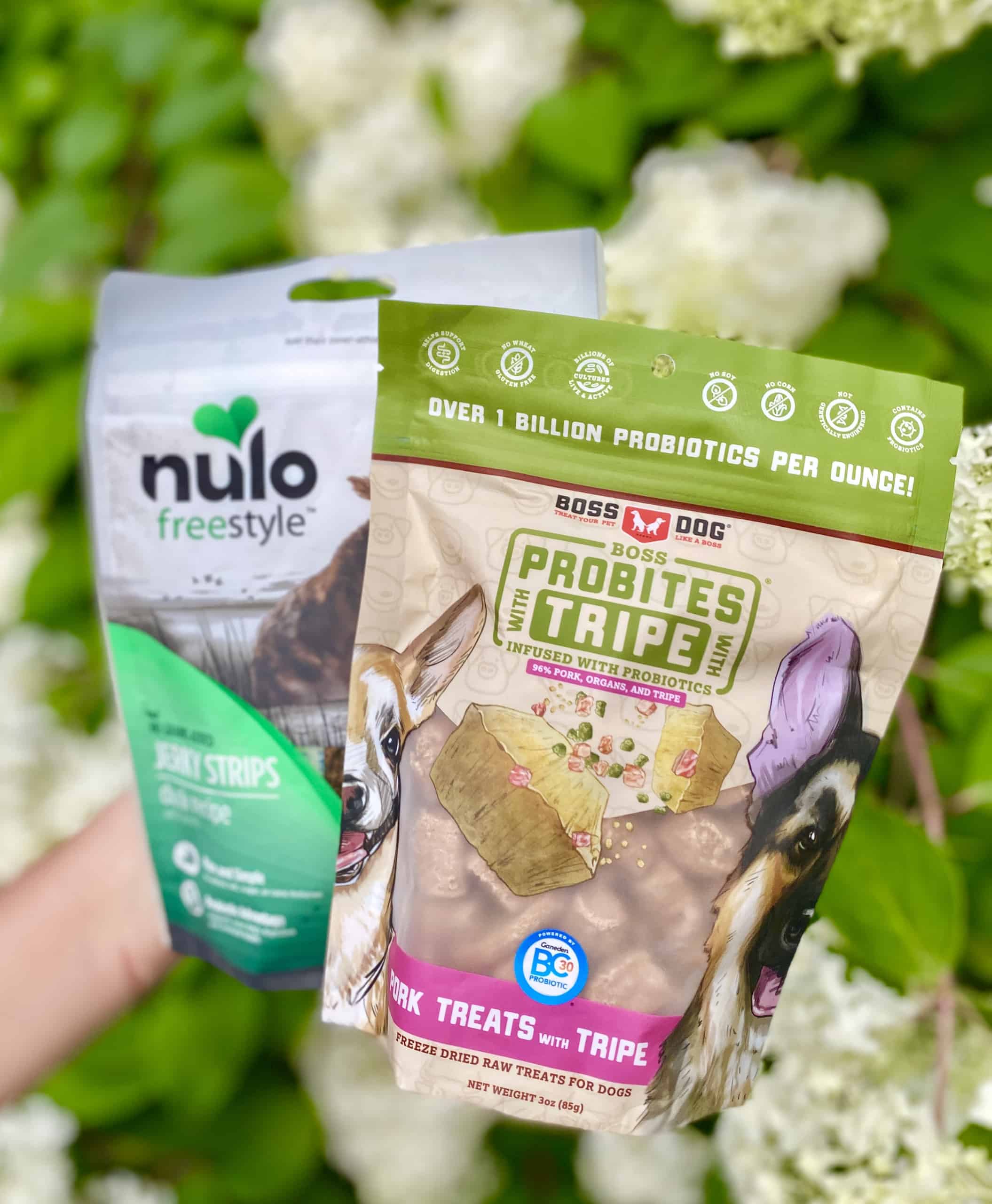 Dog treats with BC30 probiotics in them.