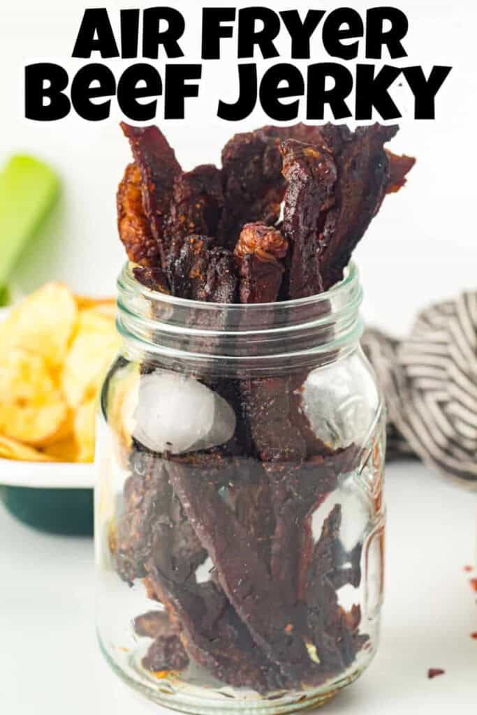 Air Fryer Beef Jerky Pin.