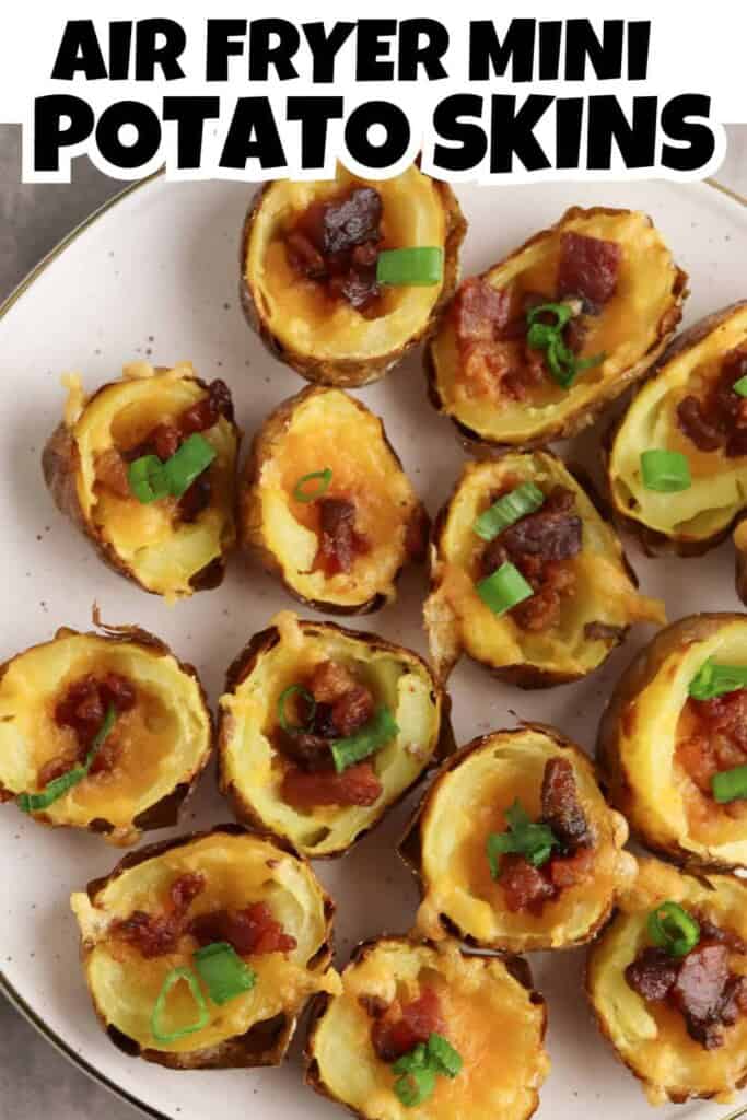 Air Fryer Mini Potato Skins Pin.