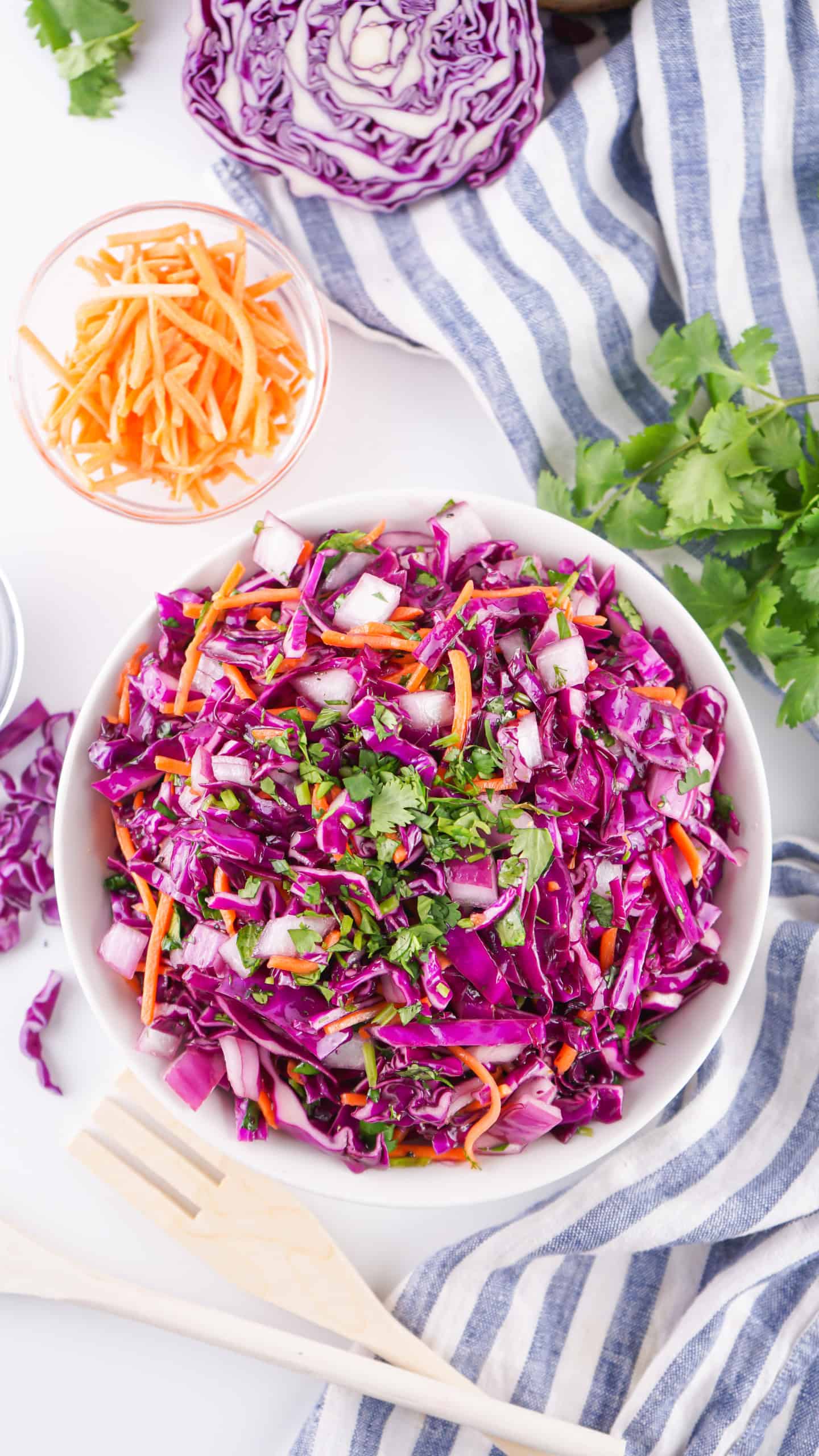 Overhead view of rec cabbage coleslaw in a white bowl.