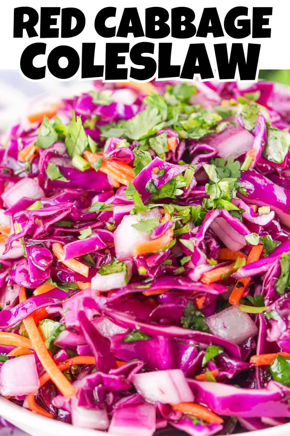 Red Cabbage Coleslaw Pin.