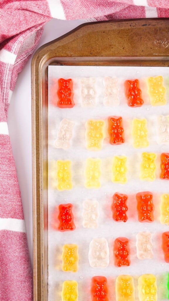 Soaked gummy bears arranged on a parchment-lined baking sheet ready to freeze